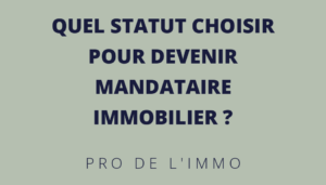 Quel_statut_choisir_pour_devenir_mandataire_immobilier_L