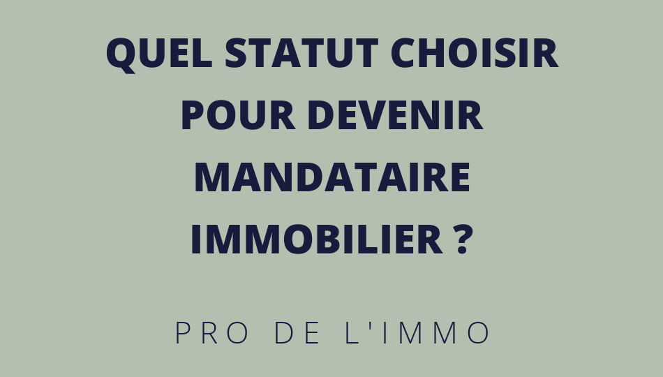 Quel_statut_choisir_pour_devenir_mandataire_immobilier_L