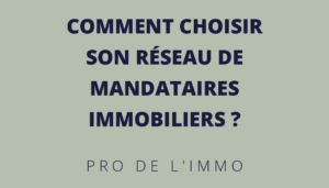 Comment_choisir_son_reseau_de_mandataires_immobiliers_L
