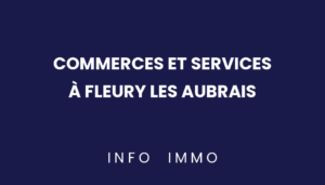 commerces-et-services-a-fleury-les-aubrais