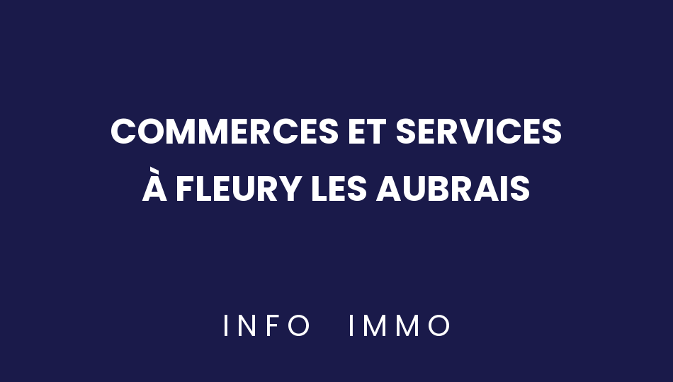 commerces-et-services-a-fleury-les-aubrais