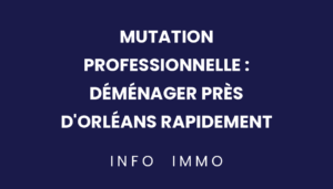 mutation-professionnelle-demenager-pres-dorleans-rapidement